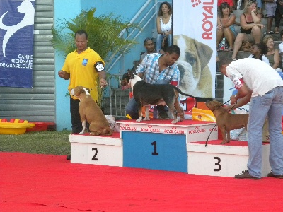 championnat de guadeloupe 